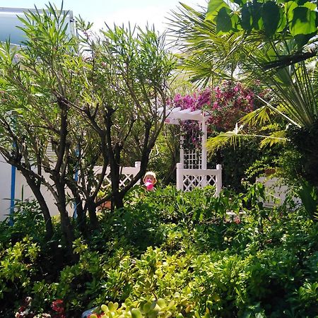 Hotel Parco Delle Rose Silvi Marina Dış mekan fotoğraf