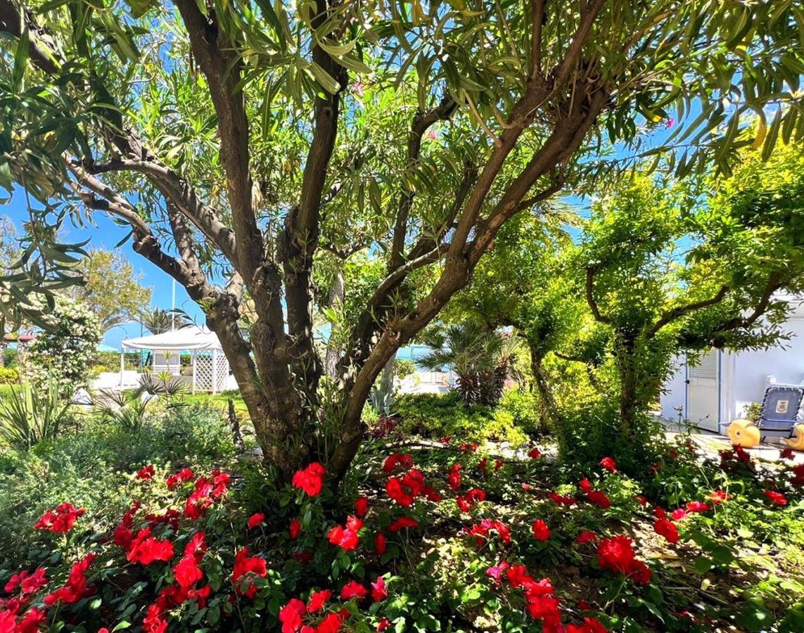 Hotel Parco Delle Rose Silvi Marina Dış mekan fotoğraf