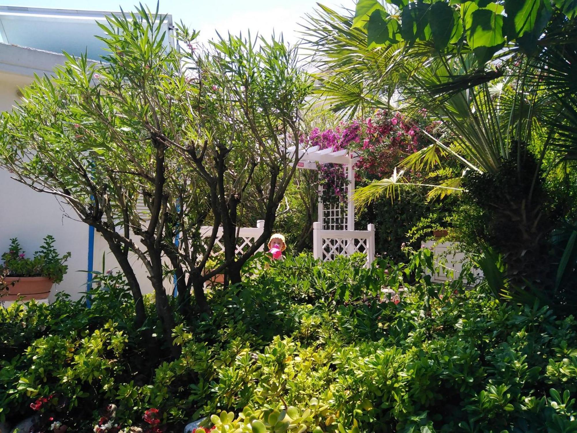Hotel Parco Delle Rose Silvi Marina Dış mekan fotoğraf